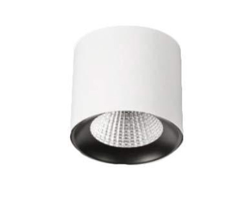 TRACK LIGHT & SURFACE FIXTURES - 1248